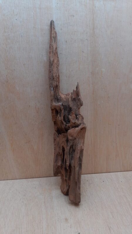 Driftwood - XL 11