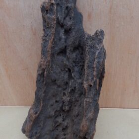 Driftwood - XL 4