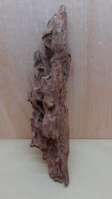 Driftwood - XL 6