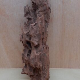 Driftwood - XL 6