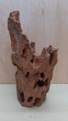 Driftwood - Medium 11