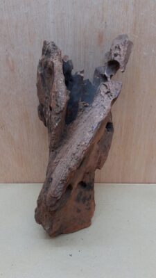 Driftwood - Medium 12