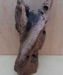 Driftwood - Medium 12