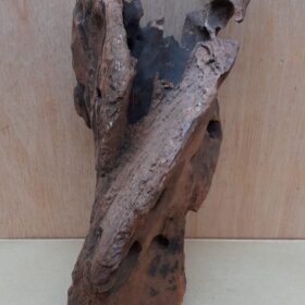 Driftwood - Medium 12