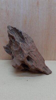 Driftwood - Medium 13