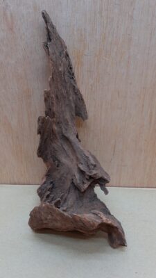 Driftwood - Medium 14