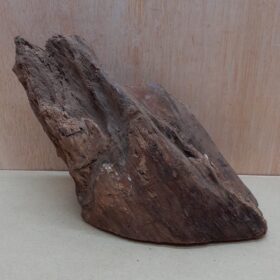 Driftwood - Medium 20