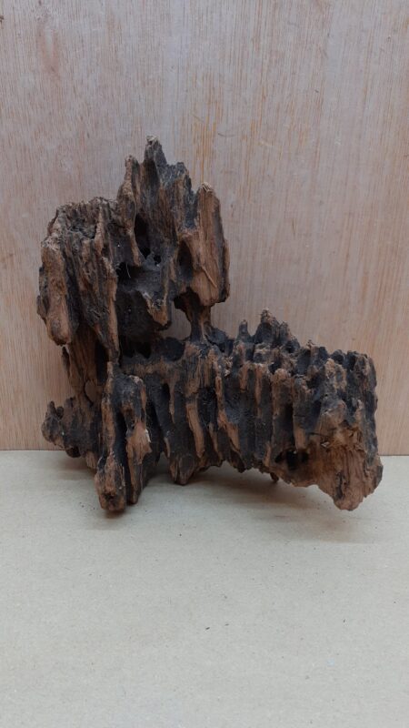Driftwood - Small 2