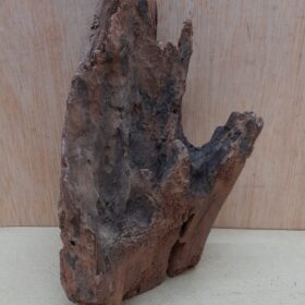 Driftwood - Small 15