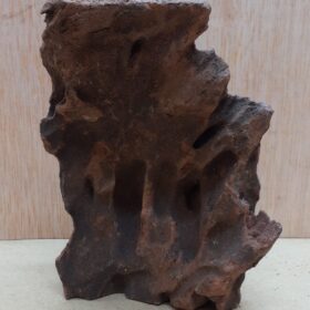 Driftwood - Small 17