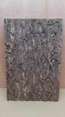 Cork Bark Background Panel 30x45cm - 3