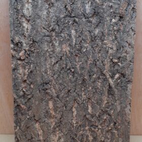 Cork Bark Background Panel 30x45cm - 3
