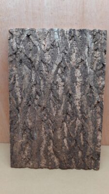 Cork Bark Background Panel 30x45cm - 6
