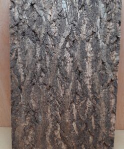 Cork Bark Background Panel 30x45cm - 6