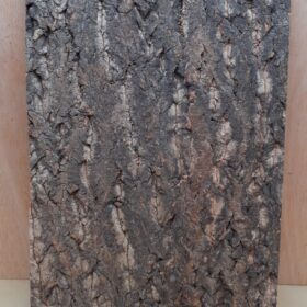 Cork Bark Background Panel 30x45cm - 9