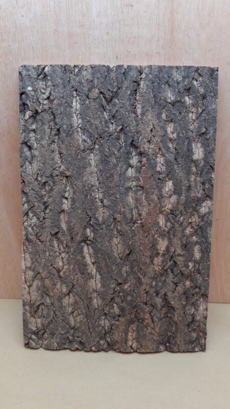 Cork Bark Background Panel 30x45cm - 9
