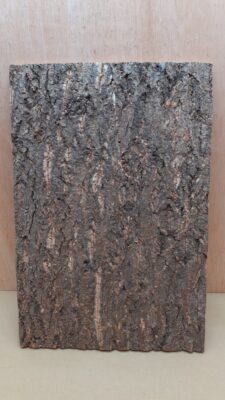 Cork Bark Background Panel 30x45cm - 10