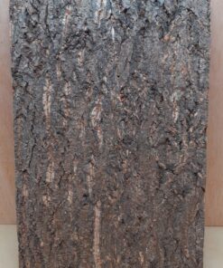 Cork Bark Background Panel 30x45cm - 10