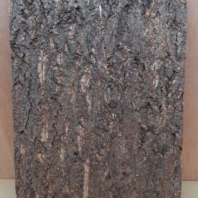 Cork Bark Background Panel 30x45cm - 10