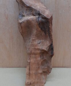 Driftwood - Large 1