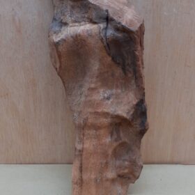 Driftwood - Large 1