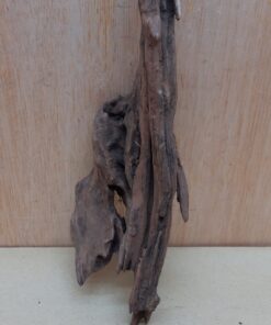 Driftwood - Small 5