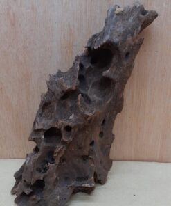 Driftwood - Medium 11