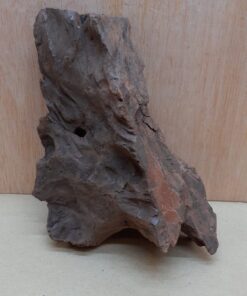 Driftwood - Small 19