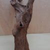 Driftwood - XL 17
