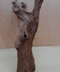 Driftwood - XL 17