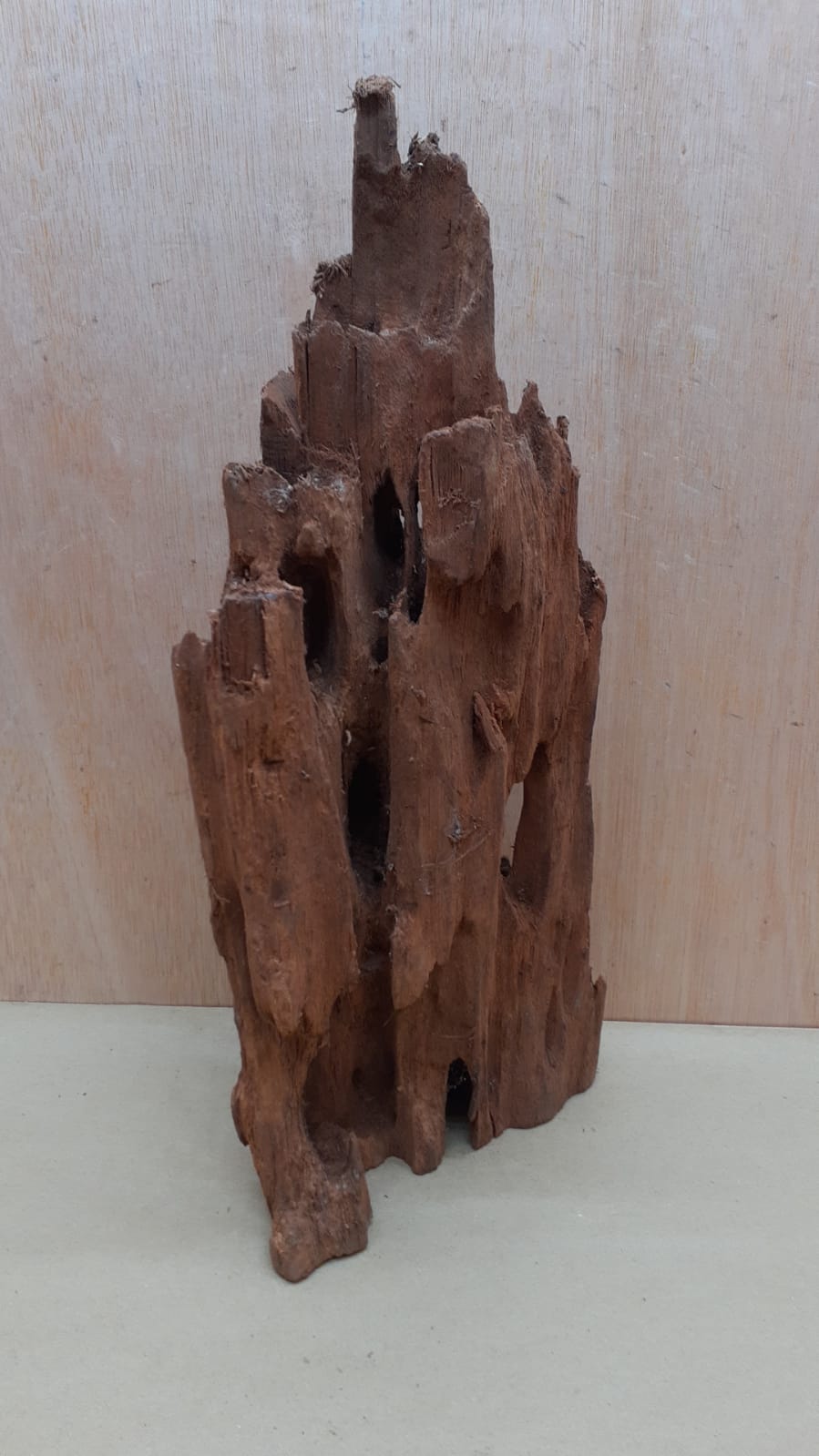 Driftwood - XL 3