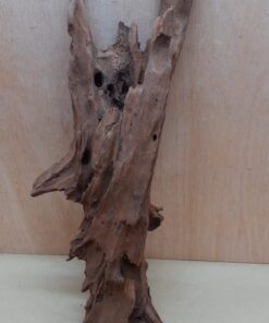 Driftwood - XL 7