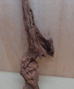 Driftwood - XL 18
