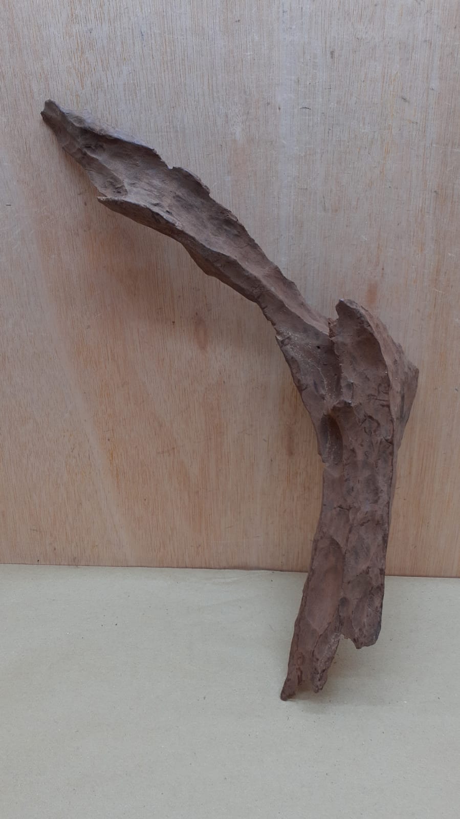 Driftwood - XL 20
