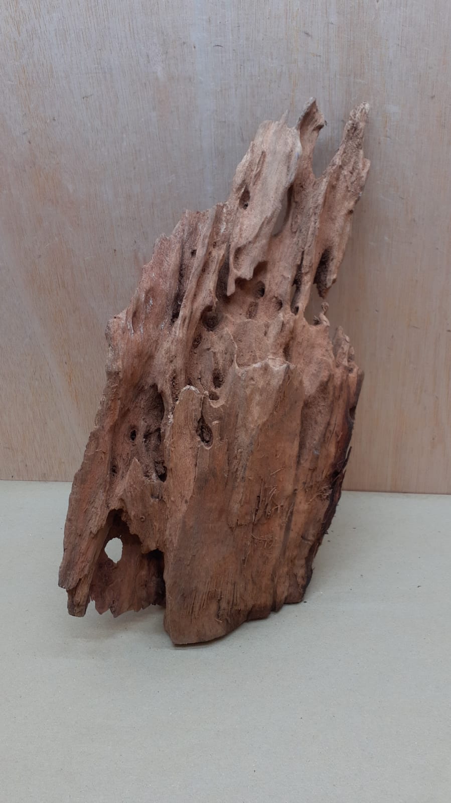 Driftwood - Large 2