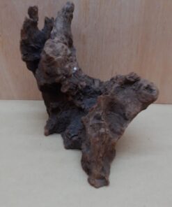 Driftwood - Medium 4