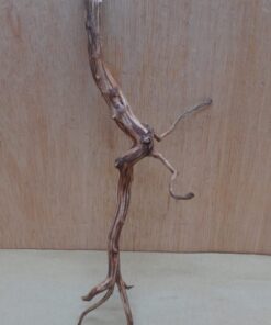 Moorwood - Small 5