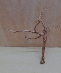 Moorwood - Small 7