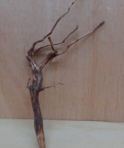 Moorwood - Medium 10