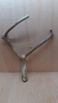 Java Wood - Double Stem - XL 11