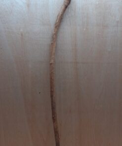 Straight Liana 2-3cm - Long - 12