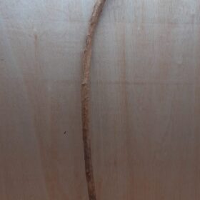 Straight Liana 2-3cm - Long - 12