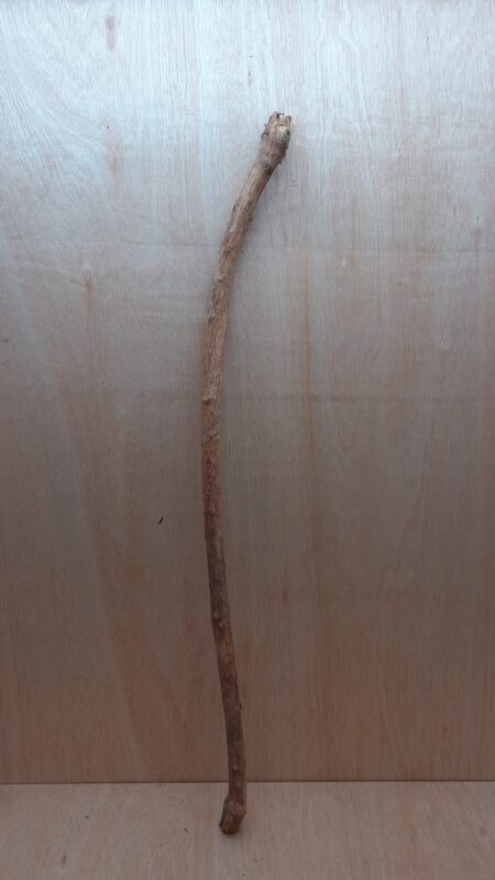 Straight Liana 2-3cm - Long - 12