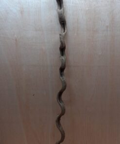 Monkey Ladder Liana - Long - 12