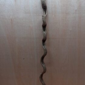 Monkey Ladder Liana - Long - 12