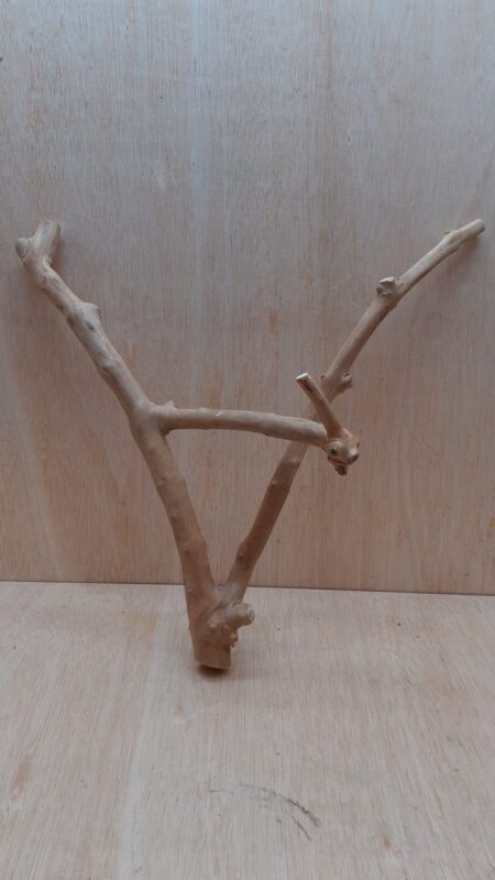 Java Wood - Double Stem - Medium 14