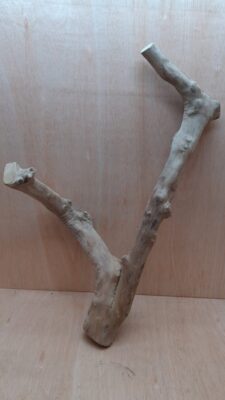 Java Wood - Double Stem - XL 14