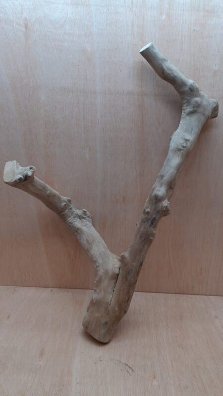 Java Wood - Double Stem - XL 14