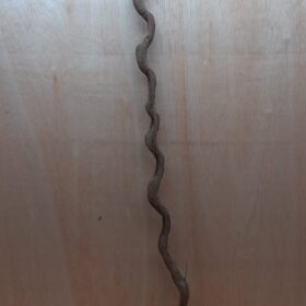 Monkey Ladder Liana - Long - 15