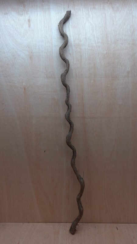 Monkey Ladder Liana - Long - 15